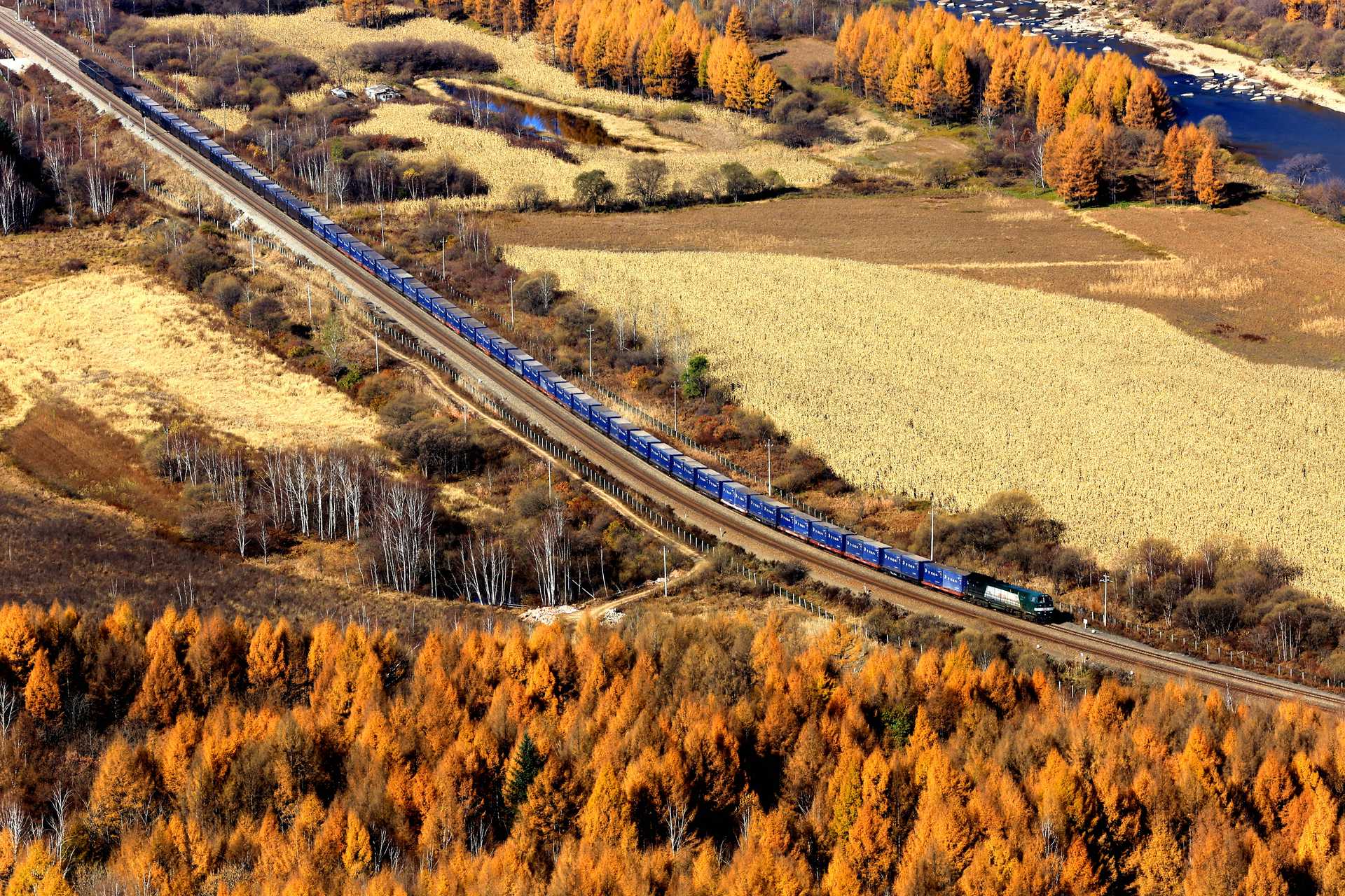 《穿越金色秋天的列车》王波、15636093310、金色秋天里，一列火车穿越在秋天里，给这里带来了生机可谓难得一见的大自然和人文景观结合的壮观场面，2018年10月13日拍摄于伊春南岔区仙翁山。.jpg
